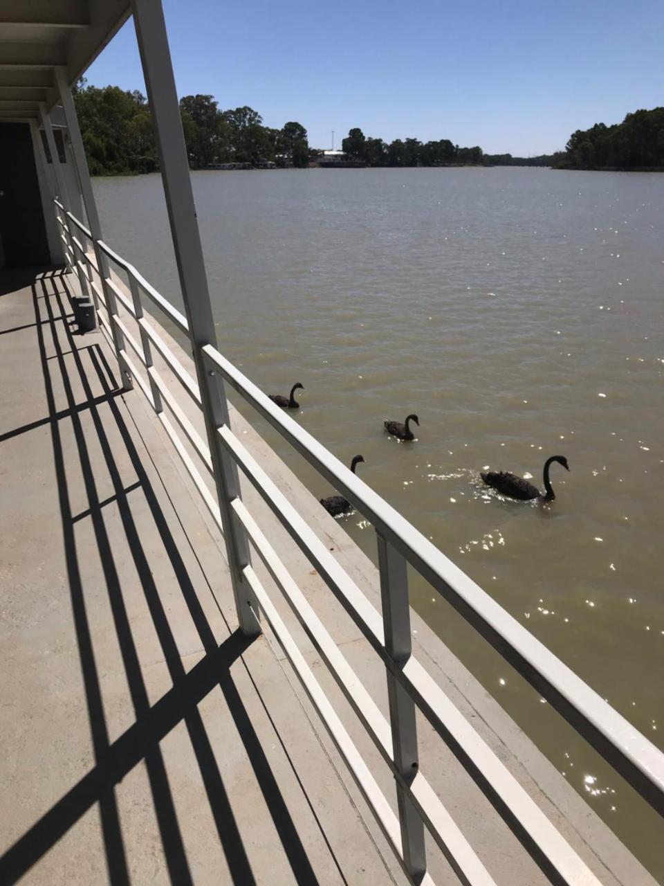 Murray River Queen Hotel Renmark Luaran gambar
